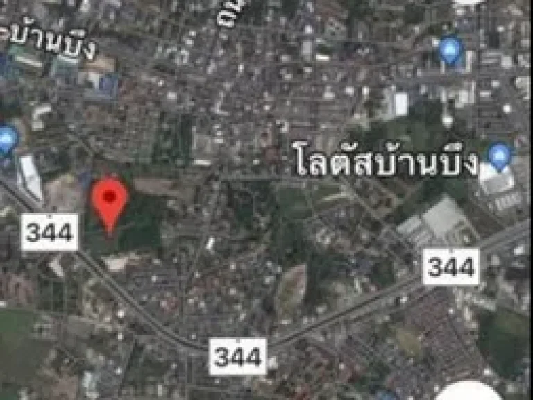 ขายที่ดิน 10ไร่ ติดถนนใหญ่ เส้น 344 ใจกลางเมืองบ้านบึง