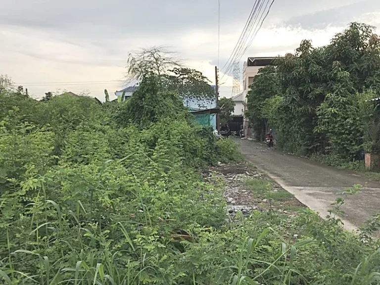 ขาย ที่ดินเปล่า 100 ตรวา ซอย สะอาดพัฒนา 32 ถรังสิต คลอง 2 ใกล้แหล่งชุมชน ห้างสรรพสินค้า เหมาะสำหรับปลูกบ้าน ราคาไม่แพง