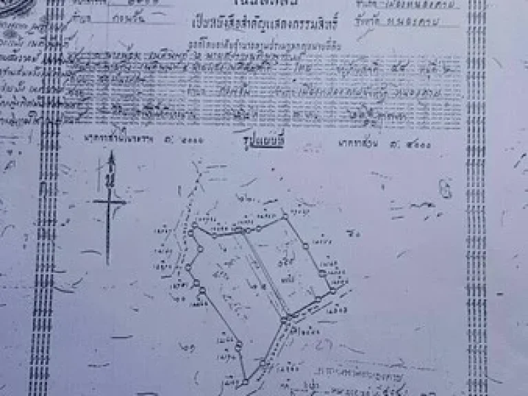 ขายที่ดินสวยๆ เนื้อที่ 14 ไร่ 1 งาน 565 ตรว ทำเลดีใกล้สะพานไทย  ลาว