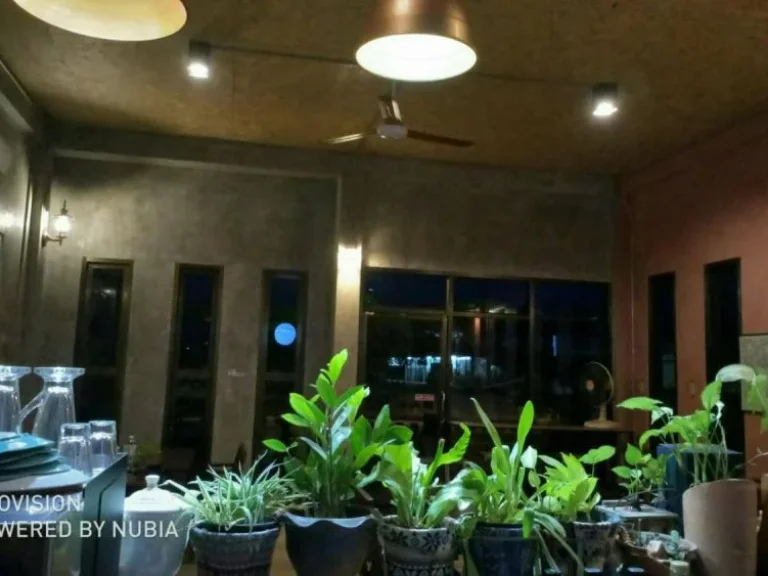 ที่ดินพร้อมบ้านและร้านอาหาร อตระการพืชผล จอุบลราชธานี