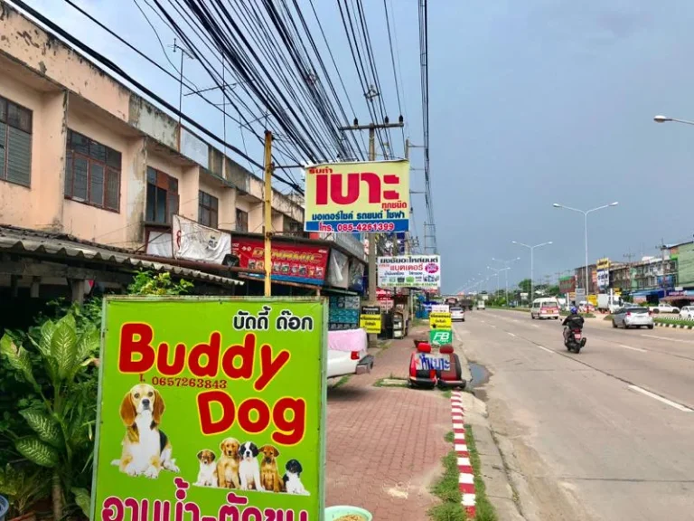 ขายที่ดินสวนติดถนน พร้อมตึกแถว ตรงข้าม สวนสามพราน นครปฐม