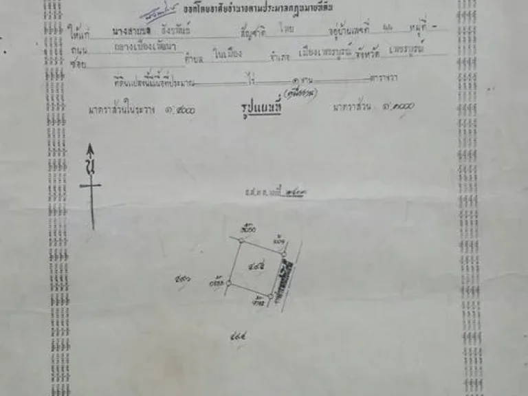 ขายที่ดิน แปลงเล็ก 100 ตรว ใกล้ตัวเมือง เพชรบูรณ์ ทางผ่านไป เขาค้อ ภูทับเบิก