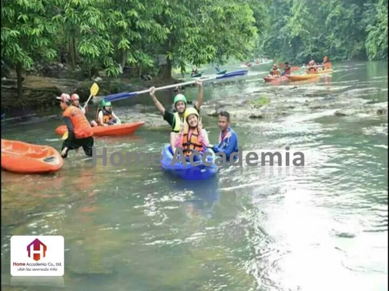 ขายที่ดิน 8 ไร่เศษ ตำบลลานข่อย อำเภอป่าพะยอม จังหวัดพัทลุง