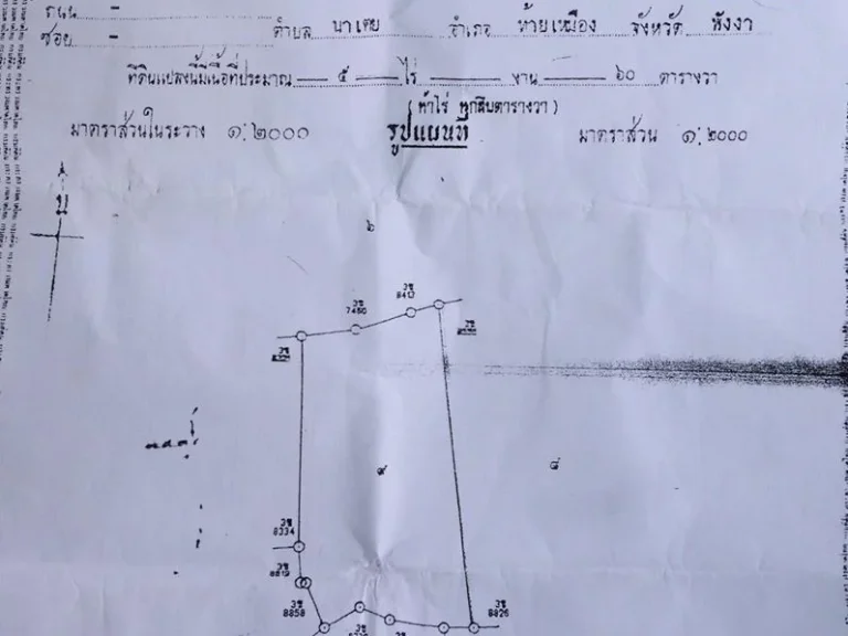 แปลงที่10 ขายที่ดินมีโฉนด แถวนาเตย ท้ายเหมืองพังงา สภาพที่ดิน เป็นที่ราบ ปลูกยางพาราทั้งแปลง พร้อมเปิดหน้ายาง มีทางเข้าออก