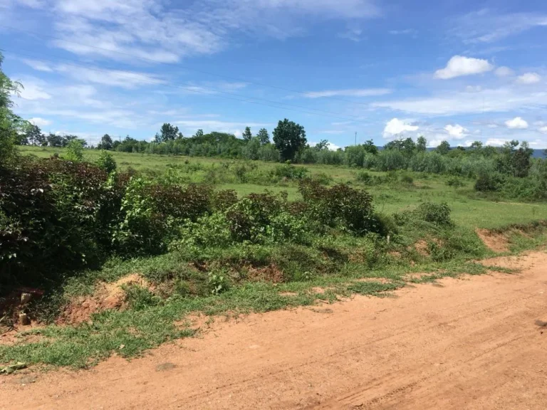 ขายที่ดิน 14 ไร่ ติดถนนมะลิวัลย์ เยื้องศาลจังหวัดชุมแพ อชุมแพ จขอนแก่น