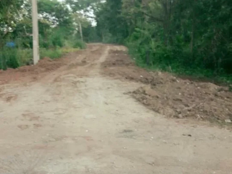 ขายที่ดิน 14 ไร่ ติดถนนมะลิวัลย์ เยื้องศาลจังหวัดชุมแพ อชุมแพ จขอนแก่น