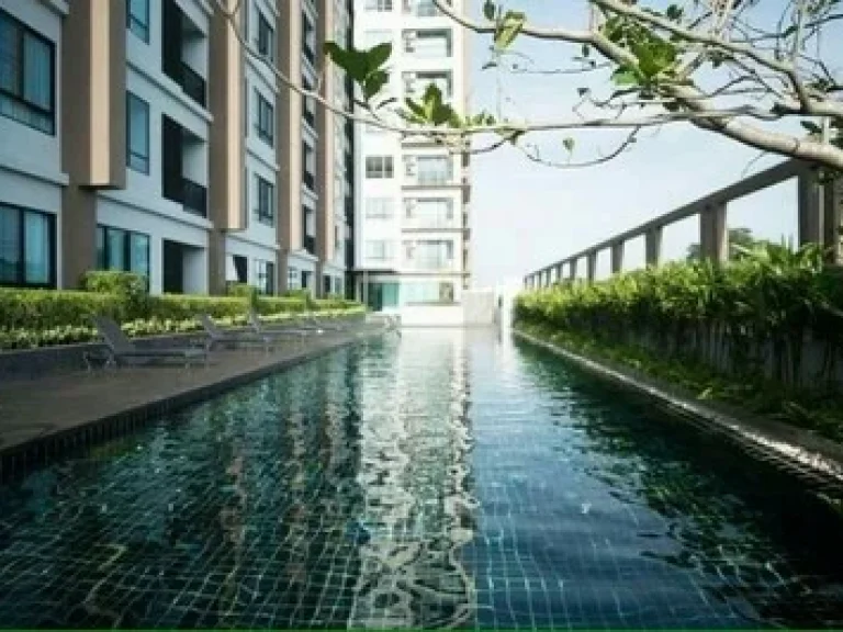 For RENT Rental 22000 Baht per month The Sky Condominium Sriracha 1bed 1bath 3517sqm