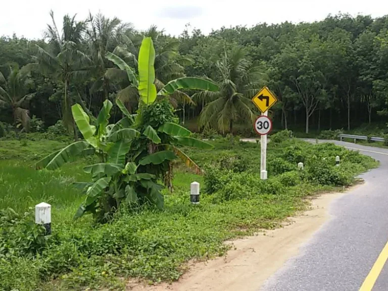 ที่ดิน ราคาถูก บ้านพร ถลาง ภูเก็ต