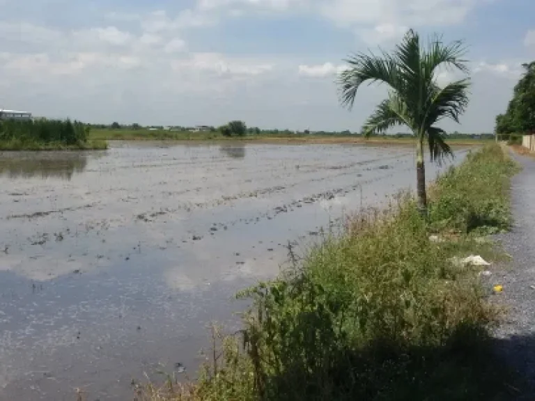 ขายที่ดินลำลูกกา คลองสิบ 50 ไร่ ไร่ละ 15 ล้าน ใกล้โรงงานผลิตแผ่นคอนกรีตสำเร็จรูป แสนสิริ