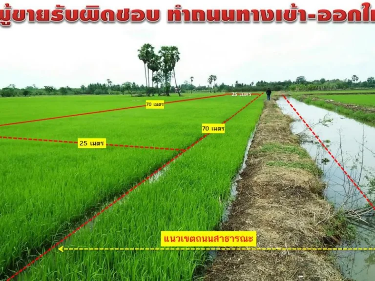 ขายที่ดิน 430 ตารางวา ข้างศูนย์ราชการสุพรรณบุรี