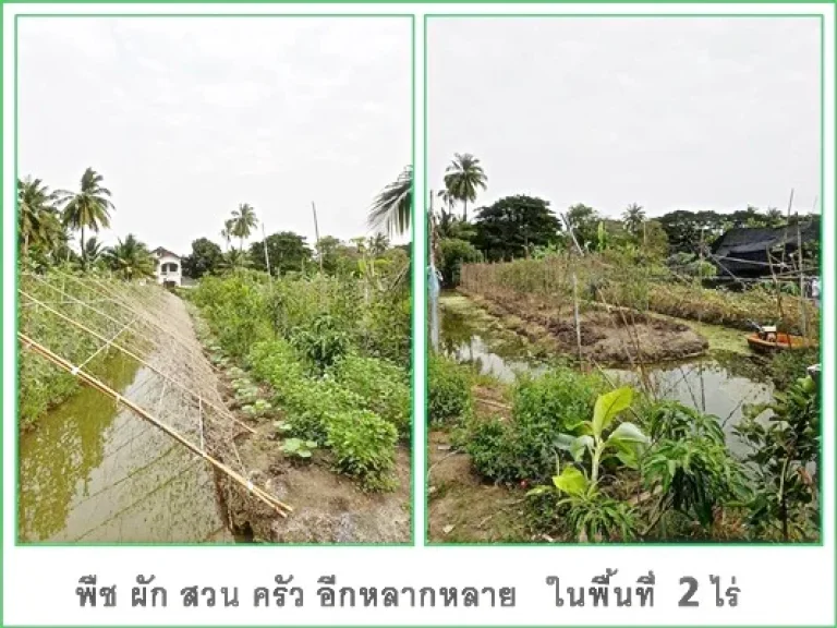 บ้านพร้อมที่ดิน แขวงคลองจินดา อำเภอสามพราน นครปฐม 2ไร่