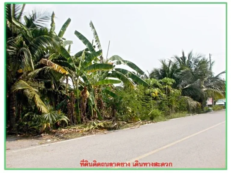 บ้านพร้อมที่ดิน แขวงคลองจินดา อำเภอสามพราน นครปฐม 2ไร่