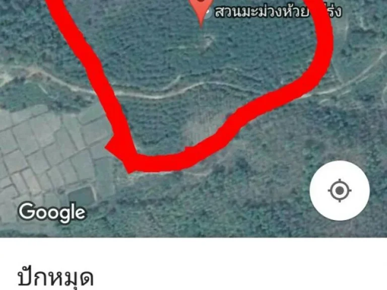 ที่ดินพร้อมสวนมะม่วงหิมพานต์ อุตรดิตถ์ ราคาถูก