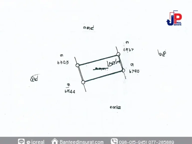 ขาย ที่ดิน ถมแล้ว 592 วา เหมาะสร้างบ้าน ซตลาดล่าง26 สุราษฎร์ธานี ทำเลในเมือง ใกล้ตลาดโพหวาย 5 นาที