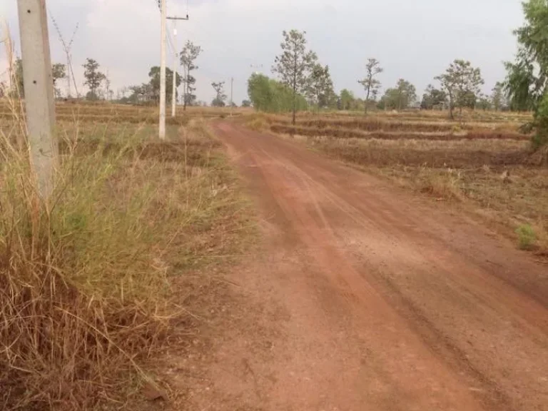 ขายที่ดิน 10 ไร่ จังหวัดอุบลราชธานี