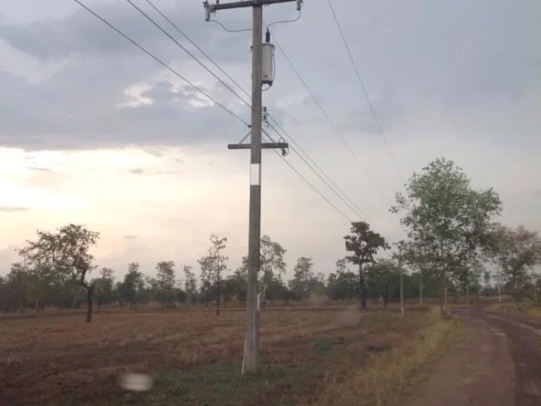 ขายที่ดิน 10 ไร่ จังหวัดอุบลราชธานี