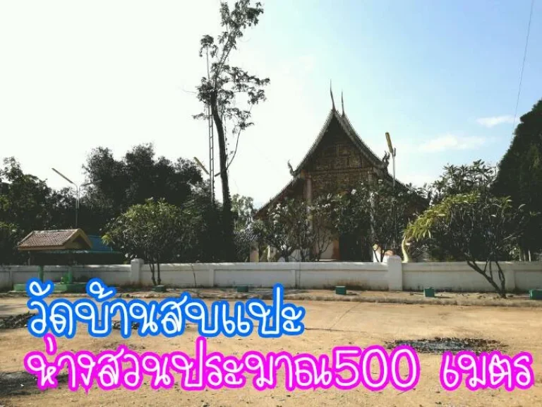 ขายที่ดินว่างเปล่า พร้อมสวนลำใย อจอมทอง จเชียงใหม่