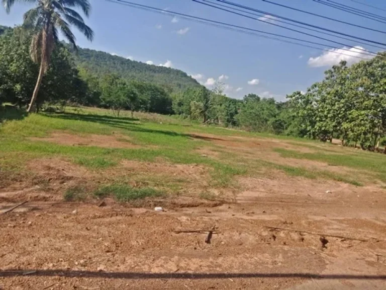 ที่ดินเปล่า ตำบลโนนบุรี อำเภอสหัสขันธ์ กาฬสินธ์ 5 ไร่ 37 ตรว