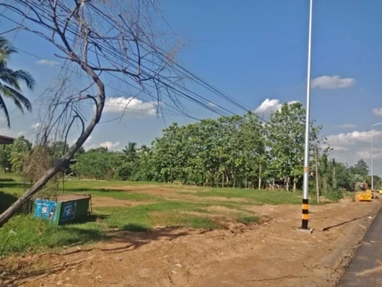 ที่ดินเปล่า ตำบลโนนบุรี อำเภอสหัสขันธ์ กาฬสินธ์ 5 ไร่ 37 ตรว