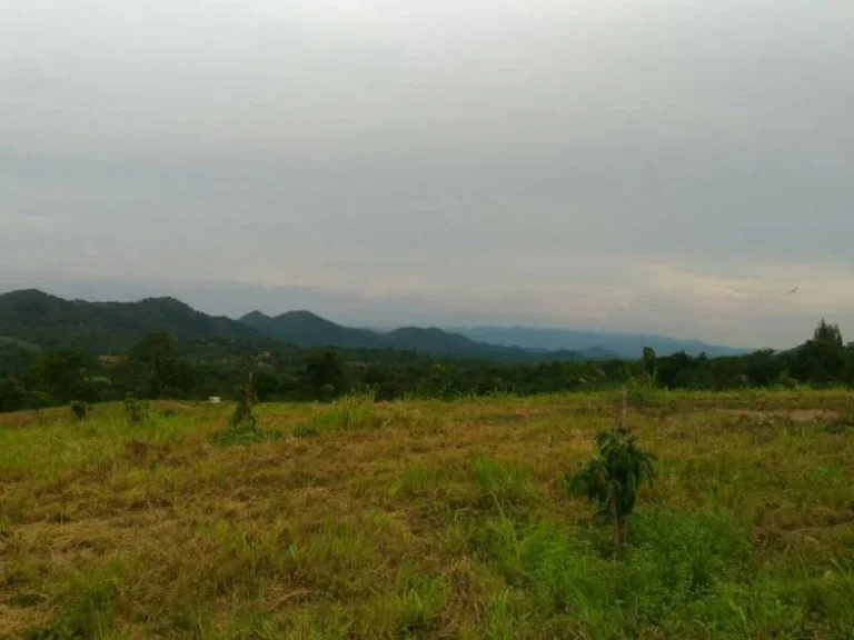 ขายที่ดินบนเนินเขา ใกล้ รร The paz เขาใหญ่ โฉนดทุกแปลง สวย ไม่ต้องบรรยายเยอะ พร้อมสาธารณูประโภค น้ำ ไฟ