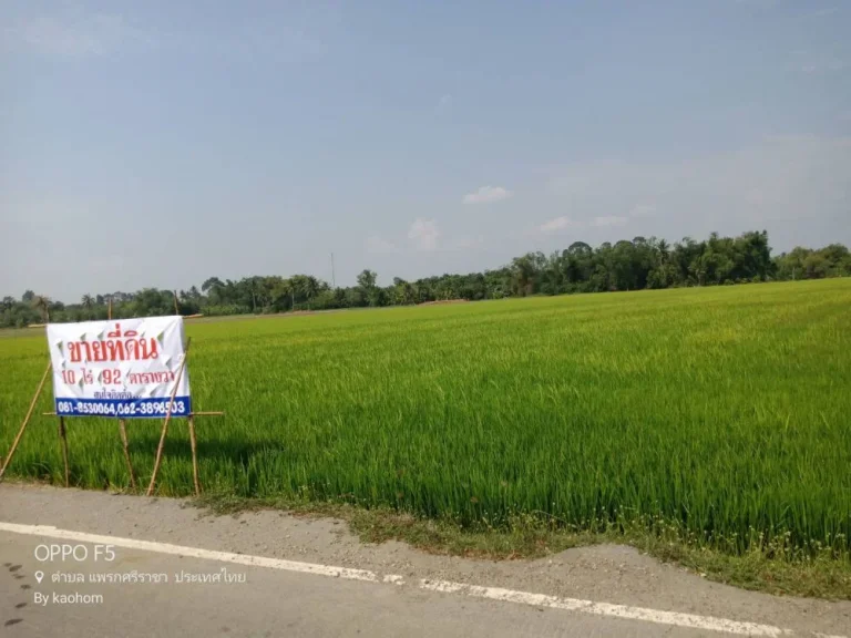 ขายที่ดินติดถนนหันคาชัยนาท