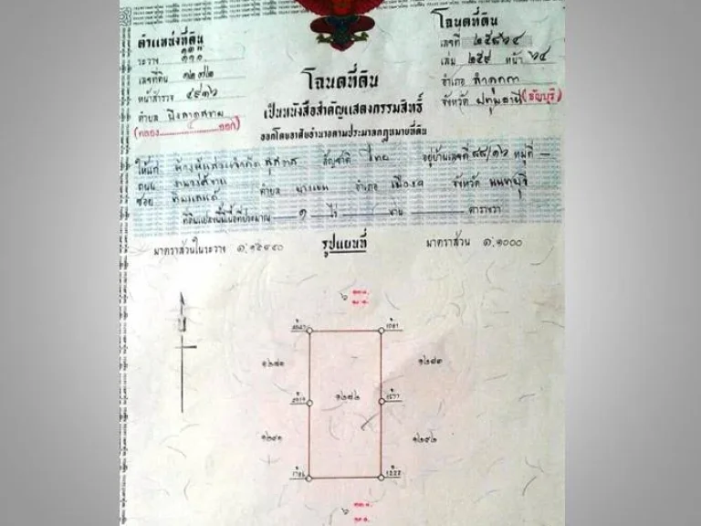 ขายที่ดิน 1 ไร่ ถพระองค์เจ้าสาย คลอง 4 ซอยไสวประชาราษฎร์ 28 ติดถนนโครงการสุสาส ซอย 4 และ 6 เข้าออกถลำลูกกา และรังสิต-นครนายก ใกล้ มอเตอร์เวย์