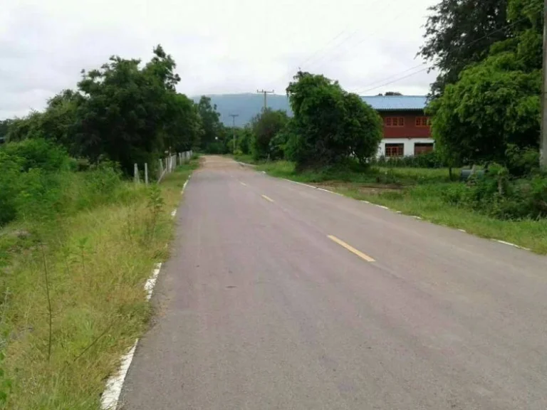 ขายที่ดิน 16 ไร่ อยู่บ้านห้วยฝรั่ง ถนนสาย 205 ตวะตะแบก อเทพสถิต จชัยภูมิ