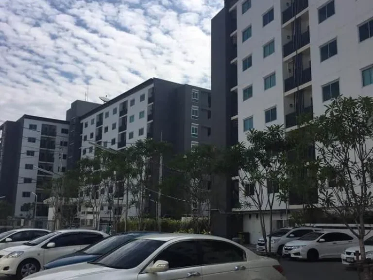 ให้เช่าคอนโด อยู่ดี คอนโด Udee Condo ขนาด 24 ตรม ติด โรบินสัน ฉะเชิงเทรา