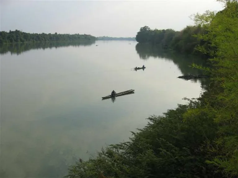 ขายที่ดินติดน้ำมูลวิวสวยมาก ม1 บ้านชาด ตทรายมูล อพิบูลมังสาหาร อุบลฯ