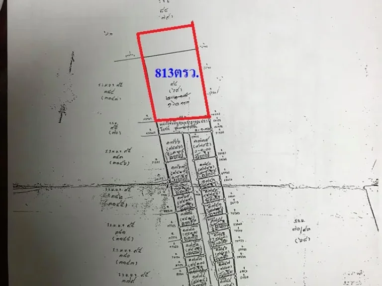 ขายที่ดิน810ตรวติดถนนสุขุมวิท1011 หน้ากว้างติดถนน40เมตร แขวงบางจาก เขตพระโขนง กรุงเทพฯ