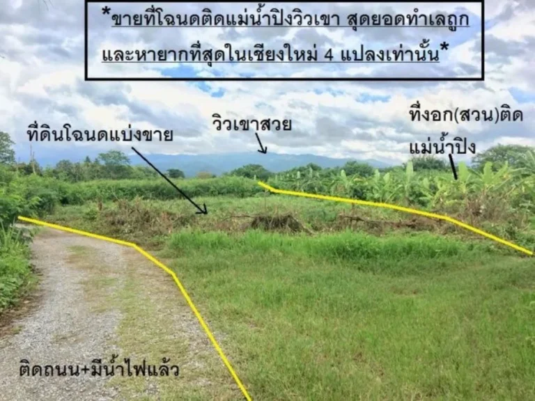 ที่โฉนดติดแม่น้ำปิง 55 ตรวาและที่งอกสวน 1 งาน ใกล้ถนนชม-ฝาง