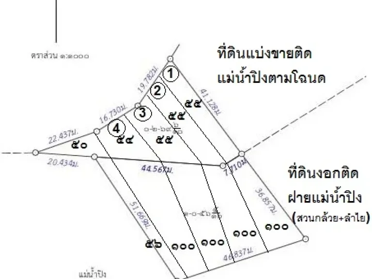 ที่โฉนดติดแม่น้ำปิง 55 ตรวาและที่งอกสวน 1 งาน ใกล้ถนนชม-ฝาง