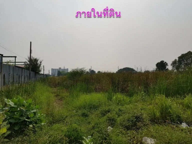 ขายที่ดินศรีด่าน