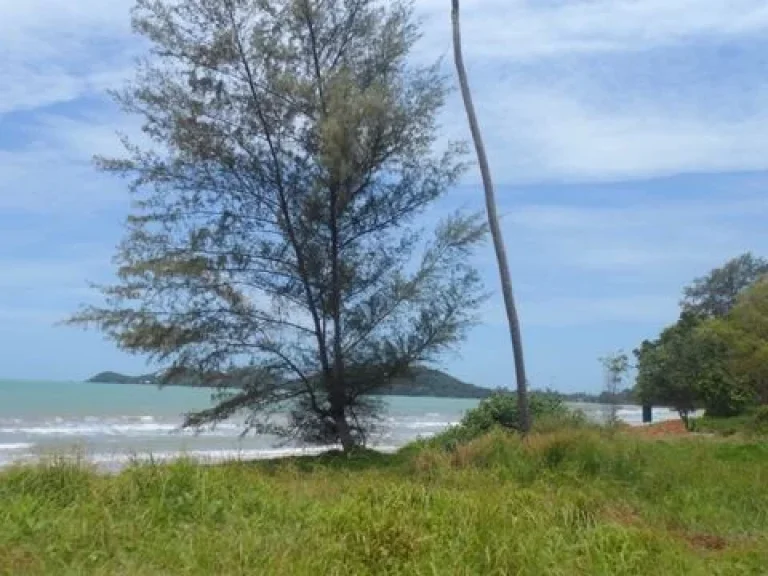 ขายที่ดินติดทะเล ติดชายหาดจริง ไมมีถนนคั่น ทรายขาว น้ำใส โฉนดพร้อมโอน