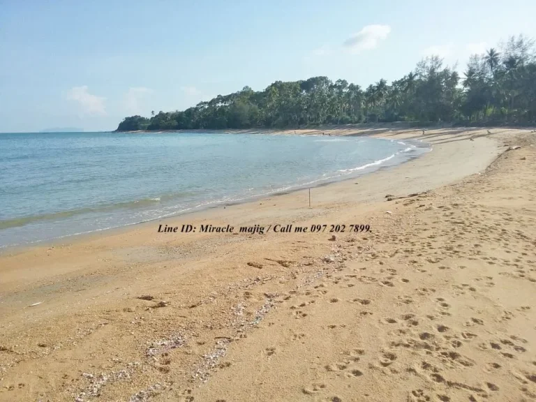 มีที่ดินติดชายทะเลหาดสวยชุมพร