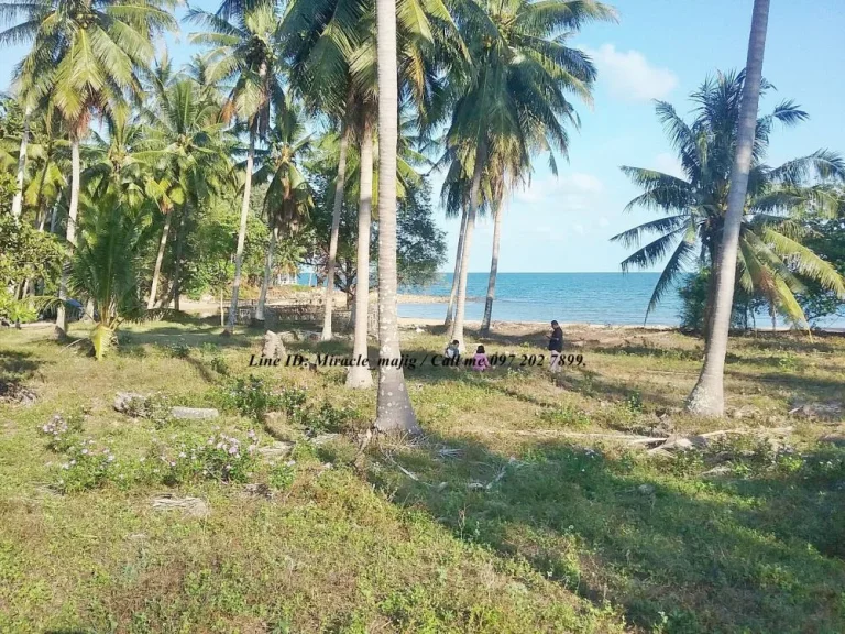 มีที่ดินติดชายทะเลหาดสวยชุมพร