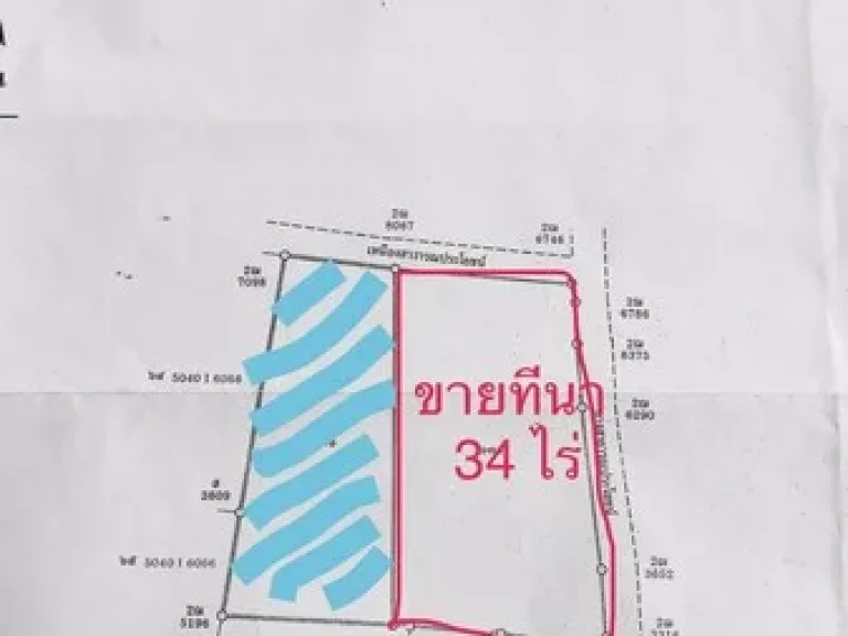 ขายที่ดินสวย สามารถแบ่งขายได้ เนื้อที่ 34 ไร่ จังหวัด พิจิตร