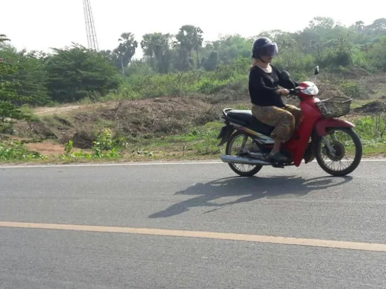 ขายที่ดิน 11 ไร่ 2 งาน ติดถนน จังหวัดเพชรบุรี