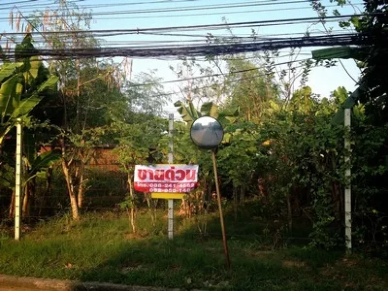 ขายถูกมาก ที่ดินหมู่บ้านอิมพีเรียล เฉลิมพระเกียรติ67 พื้นที่ 104 ตรว มีืทางออกหลายทาง ใกล้รร ราคา 469 ล้านบาท