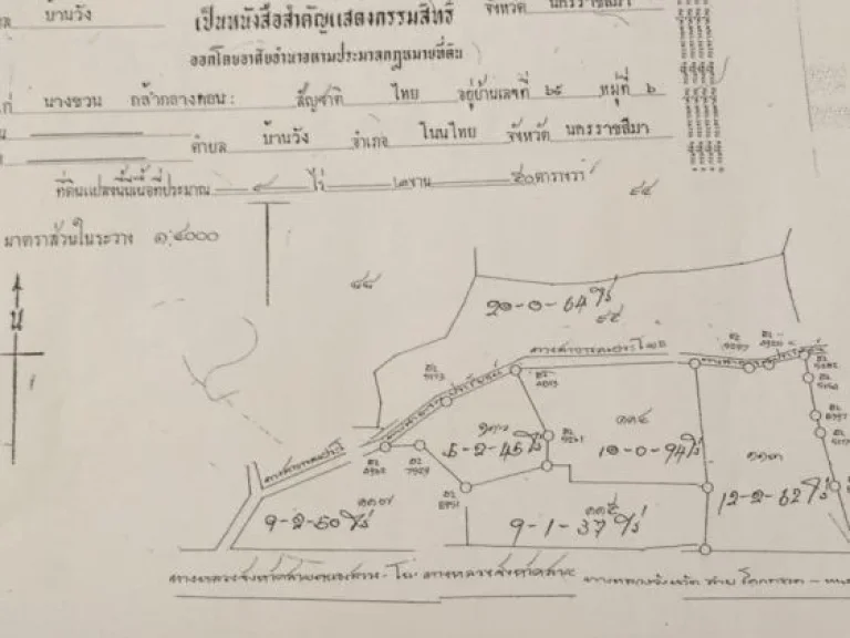 ขายที่ดิน 67 ไร่ บ้านวัง โนนไทย นครราชสีมา