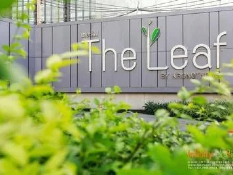 Rent The Leaf เช่า คอนโด เดอะลีฟ พัฒนาการ ชั้น 15 ห้องสวยพร้อมอยู่ 30 ตรม ห้องกว้าง