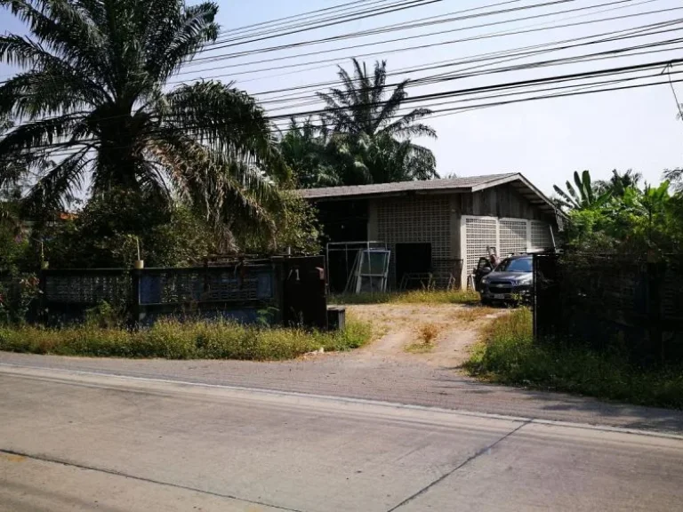 LS075 Land For Sale Klong 4 Patumthanee Soi 65 90 Rai 