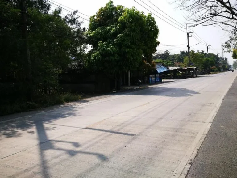 LS075 Land For Sale Klong 4 Patumthanee Soi 65 90 Rai 