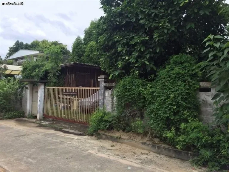 LS074 Land For Sale Suksun Viphawadee 58 18000000THB