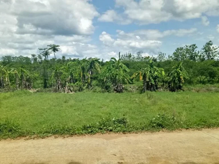 ที่ดินการเกษตร ติดลำห้วย วิวสวย