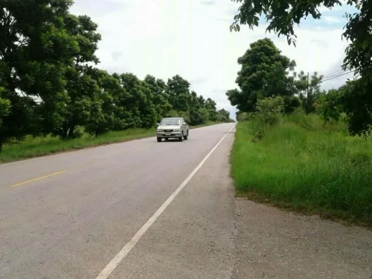 ขายที่ดิน 14 ไร่ ถนนสาย 2260 ทางไปป่าซับลังกา อลำสนธิ จลพบุรี