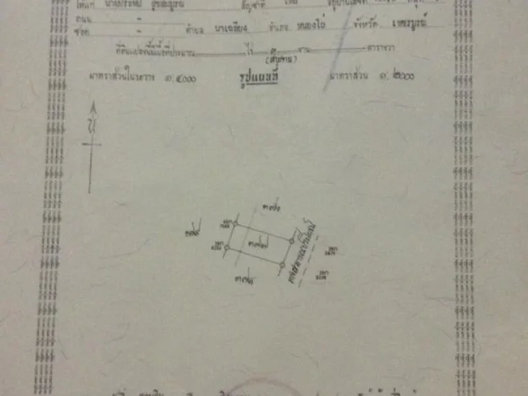 ขายที่ดินจำนวน 3 งาน โครงการเพชรบูรณ์ กรีนวิลล์