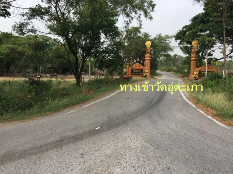 ขายที่ดิน จังหวัดชัยนาท อมโนรมย์ ติดถนนทางหลวงสายเอเซีย หมายเลข32 เนื้อที่ 9 ไร่ 45 ตรว