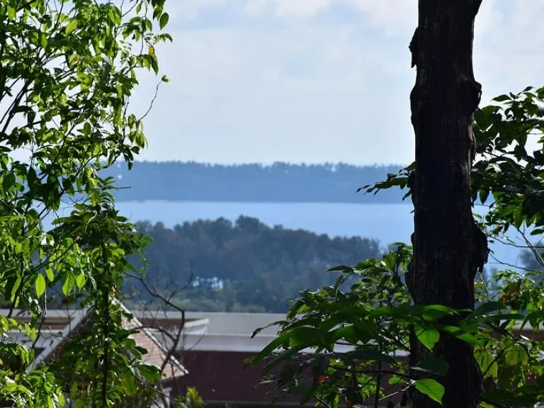 ขายที่ดินบนเนินเขา มองเห็นวิวทะเล จังหวัดภูเก็ต ย่านหาดลายัน - บางเทา เนื้อที่รวม 33 ไร่ 83 ตรว