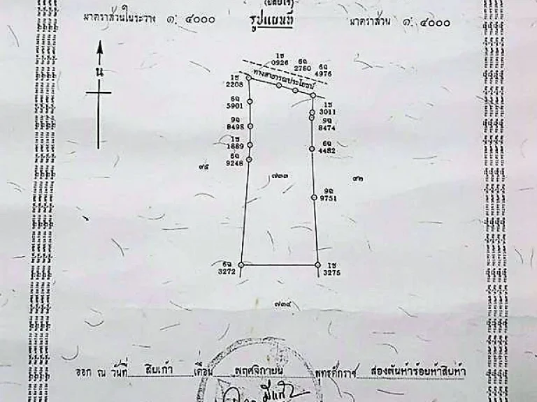 ขายที่ดิน ทำเลทอง ที่แปลงสวย ติดถนน 47 ไร่ 89 ตรวเหมาะสำหรับพัฒนาอสังหาทุกรูปแบบ ตหนองปลาหมอ อหนองแค จสระบุรี